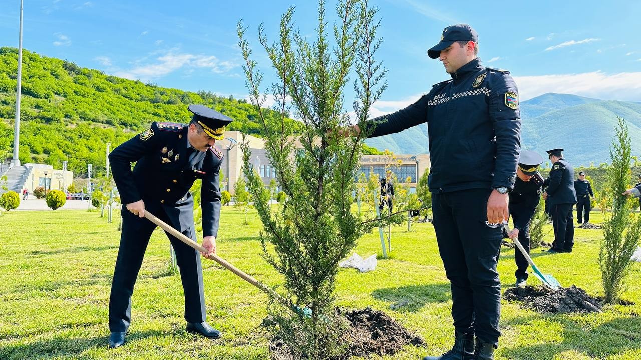 Heydər Əliyevin 100 illiyi ilə əlaqədar daha bir ağacəkmə aksiyası - FOTOLAR